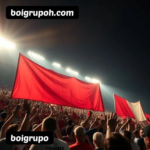 Tabela RTP dos jogos de cassino da boigrupo