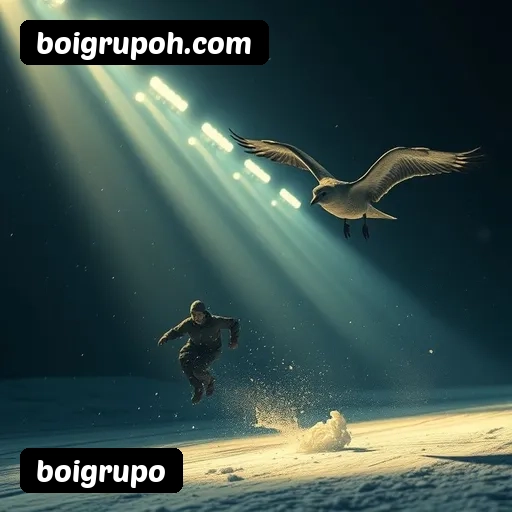 6 vantagens exclusivas do programa VIP da boigrupo