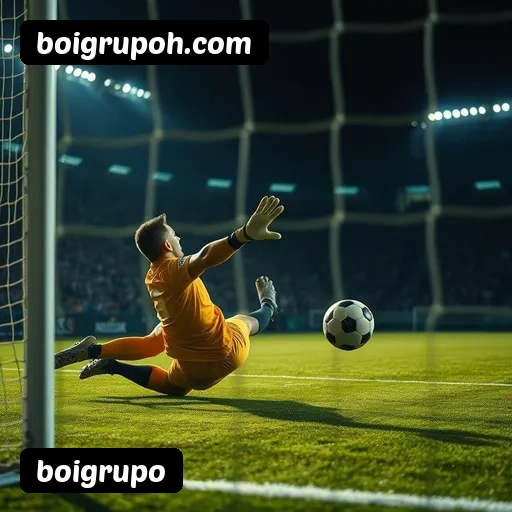 Níveis do programa VIP da boigrupo